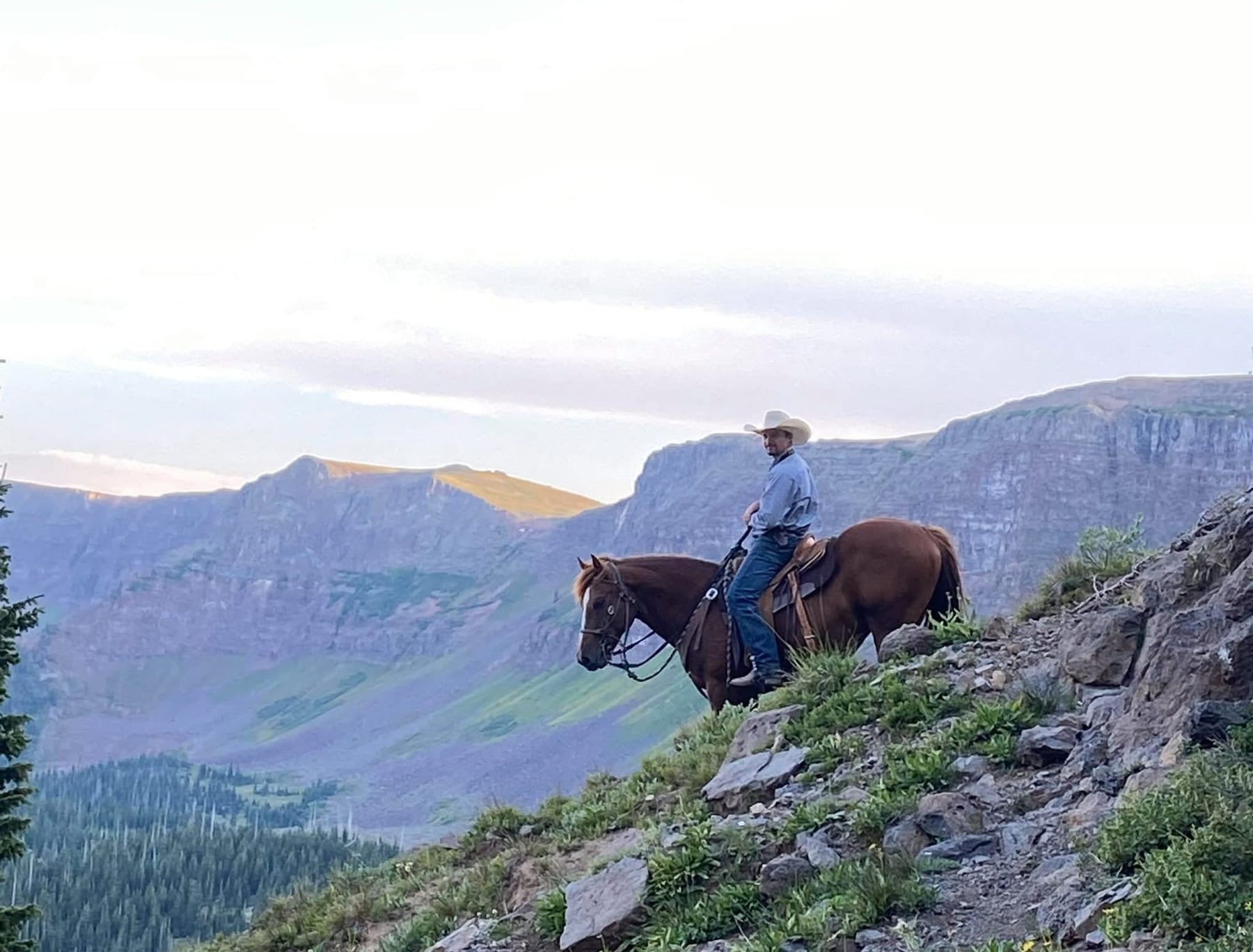 A rider on a chestnut horse on a mountain ridge above a wide valley, under a pale dawn sky.